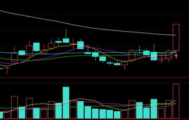 融捷最新公告詳解，任務(wù)完成指南與技能學(xué)習(xí)步驟全面解析
