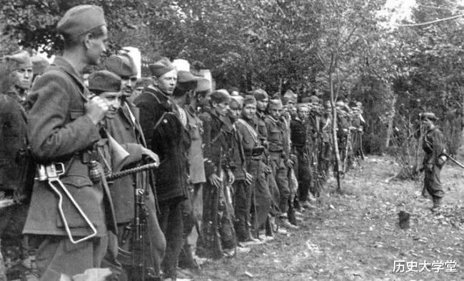 南斯拉夫電影二戰(zhàn)老片，自然美景背后的探索之旅