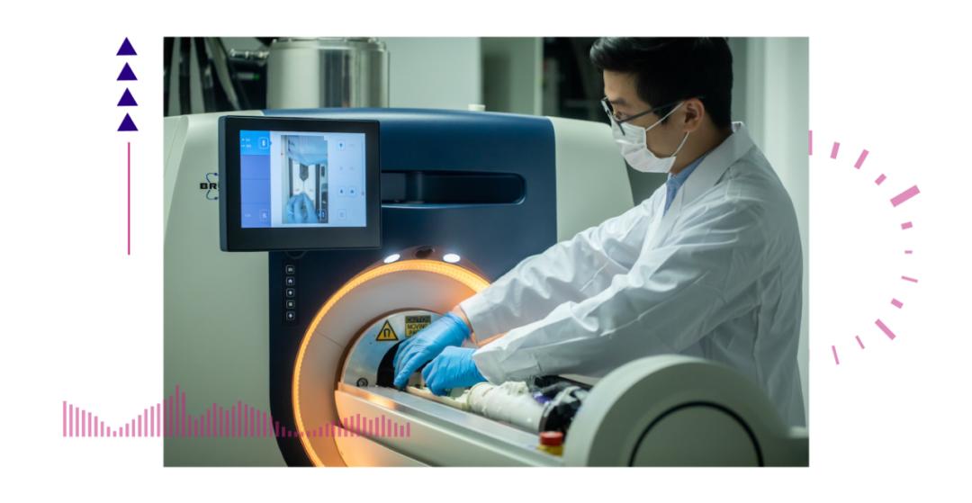 香港脊髓研究取得新進展，探索自然美景的心靈之旅新篇章