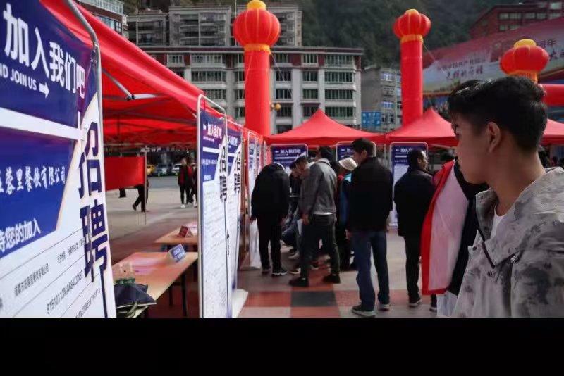 青白江招聘信息探索，小巷中的職業(yè)機(jī)遇