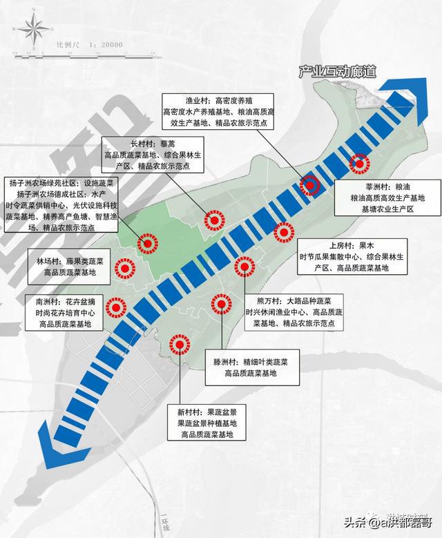 南昌揚(yáng)子洲未來藍(lán)圖揭曉，最新規(guī)劃描繪未來發(fā)展路徑