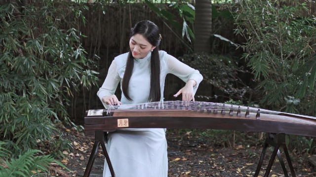 抖音最新琵琶演奏，古典與現(xiàn)代的完美融合之美
