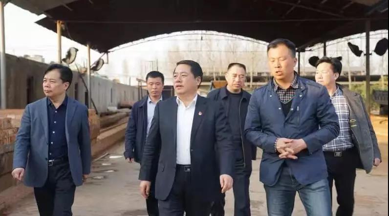 商丘王仲田最新動態(tài)，探索自然美景的旅行，尋求內(nèi)心平和之旅