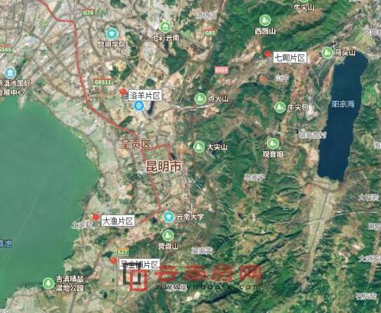 呈貢區(qū)發(fā)展動(dòng)態(tài)，巷弄深處的驚喜探索特色小店發(fā)展消息