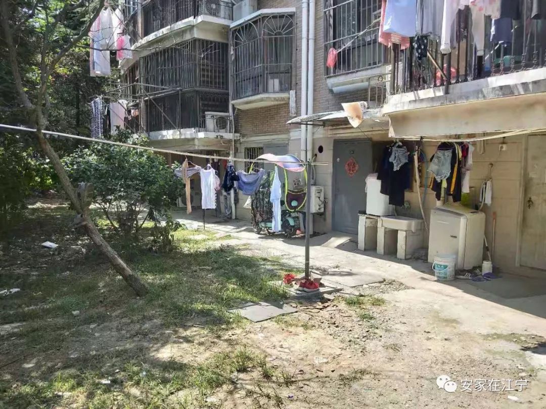 最新大雜亂時代，混沌與秩序的重建之路