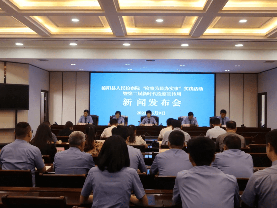 泌陽新聞最新動(dòng)態(tài)，多元視角下的觀察與思考