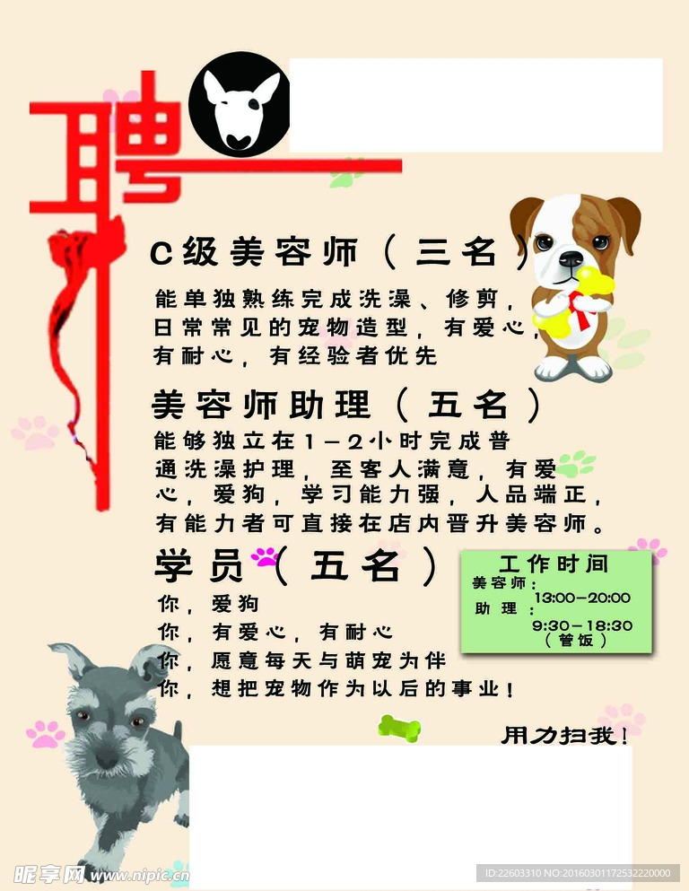 寵物店招聘最新動態(tài)，共探自然之美，尋求內(nèi)心寧靜