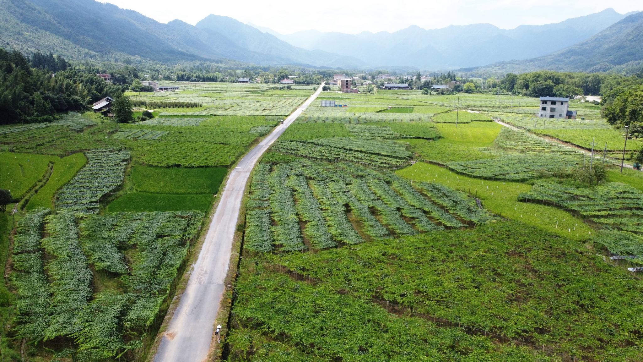 新文村，時(shí)代變遷下的文化繁榮與發(fā)展新篇章