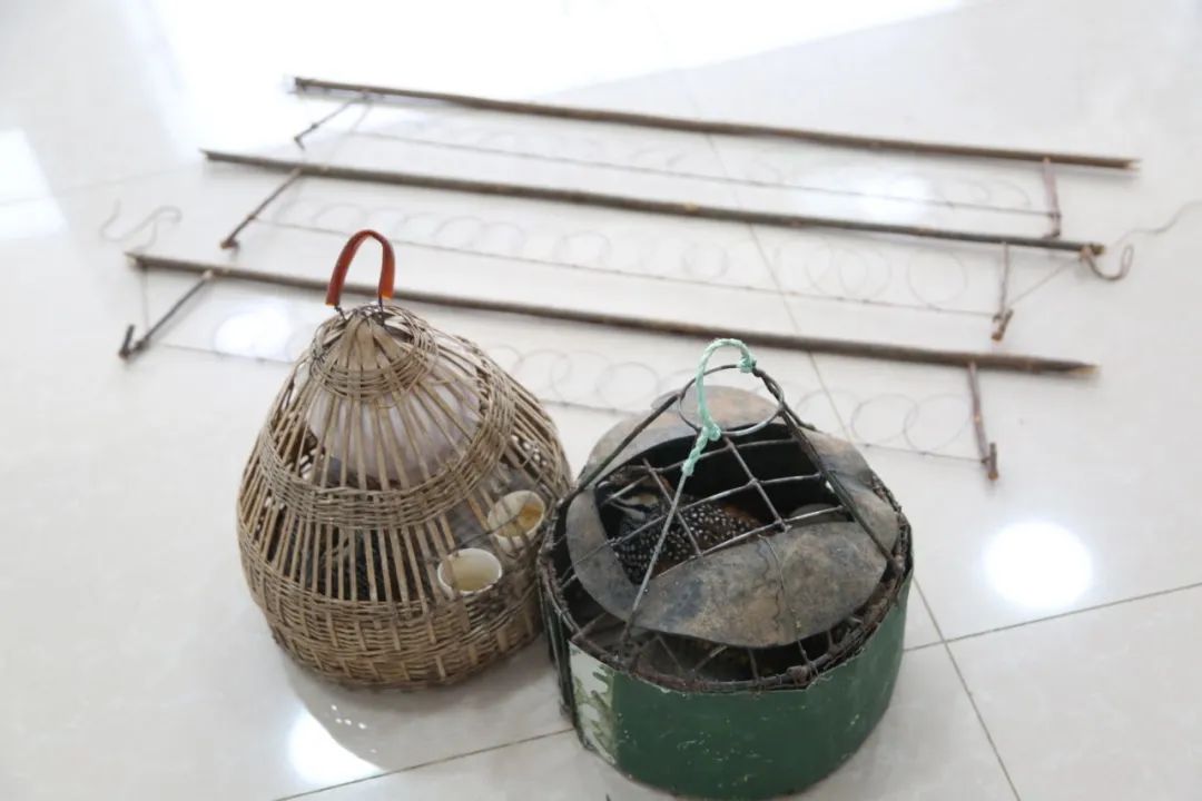 小巷中的神秘寶藏揭秘，最新捕鳥工具揭秘