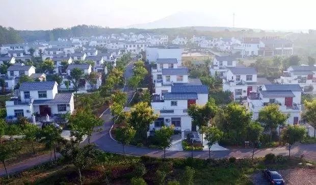 定遠(yuǎn)最新動態(tài)更新??速遞