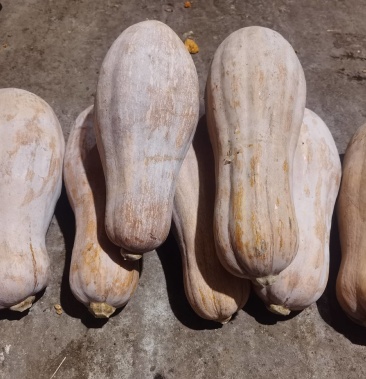 工程廠房燈具 第142頁