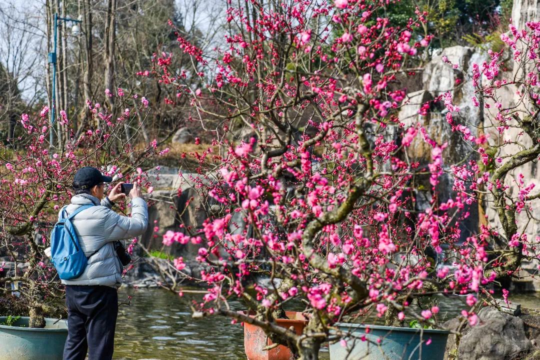 秀麗東方最新動態(tài)，啟程探索自然之美，尋找內(nèi)心寧靜之旅