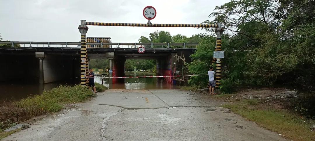 惠陽(yáng)臺(tái)風(fēng)最新消息，小巷深處的風(fēng)味秘境