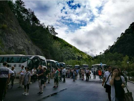 泰順高鐵最新動態(tài)更新，最新消息一覽