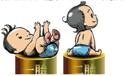 最新雙胞胎補(bǔ)助政策，攜手同行，助力孕育夢(mèng)想之路