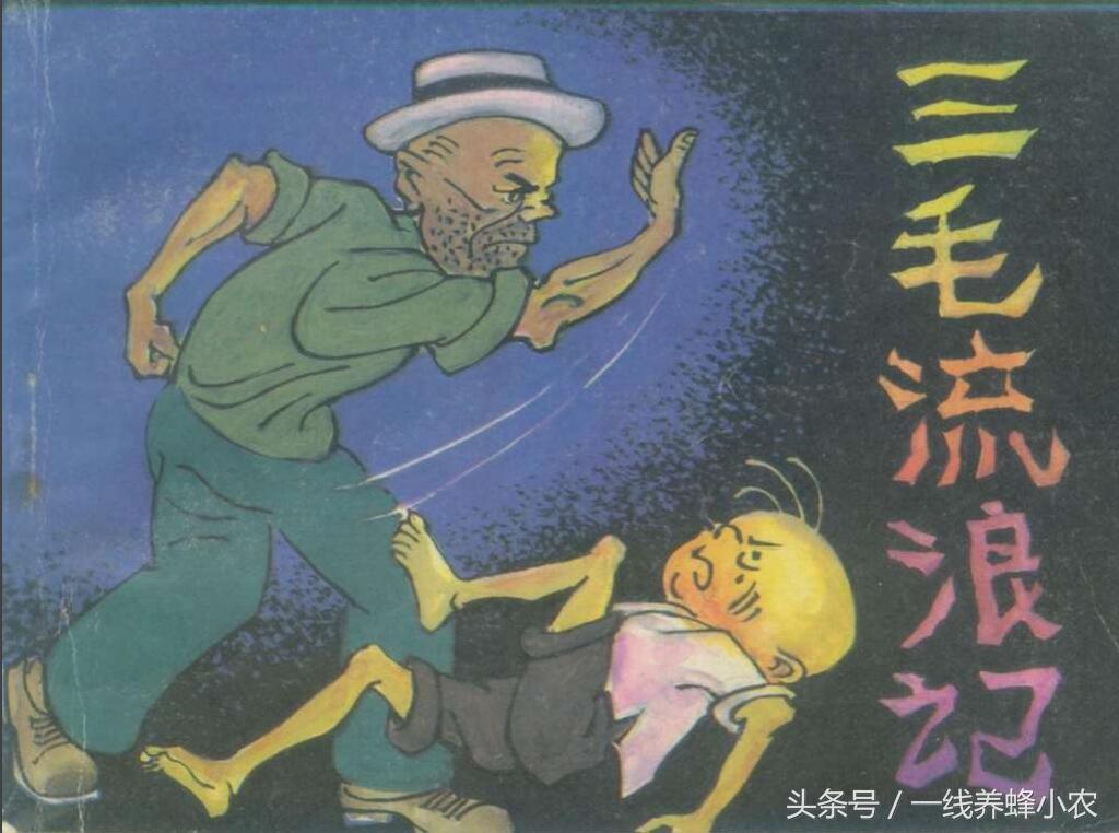 上海三毛最新動態(tài)，自然美景探索之旅啟幕