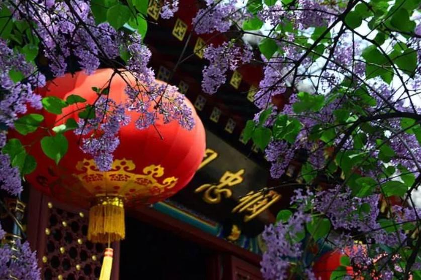 菜市口騰退最新動(dòng)態(tài)與步驟指南