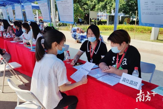 石碣最新招聘動態(tài)，把握職業(yè)機遇，共創(chuàng)美好未來之路