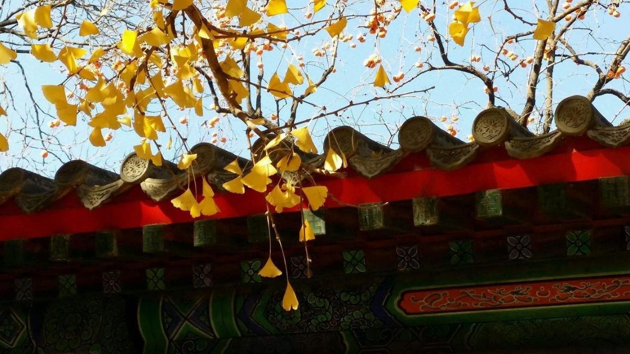 714路公交車最新路線全面解析與體驗(yàn)之旅