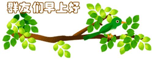 最新清晨祝福短信，晨曦中的溫暖問候，傳遞美好祝愿與關(guān)懷