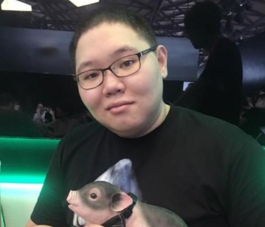 PDD最新直播視頻，直播界的璀璨明星閃耀時(shí)刻