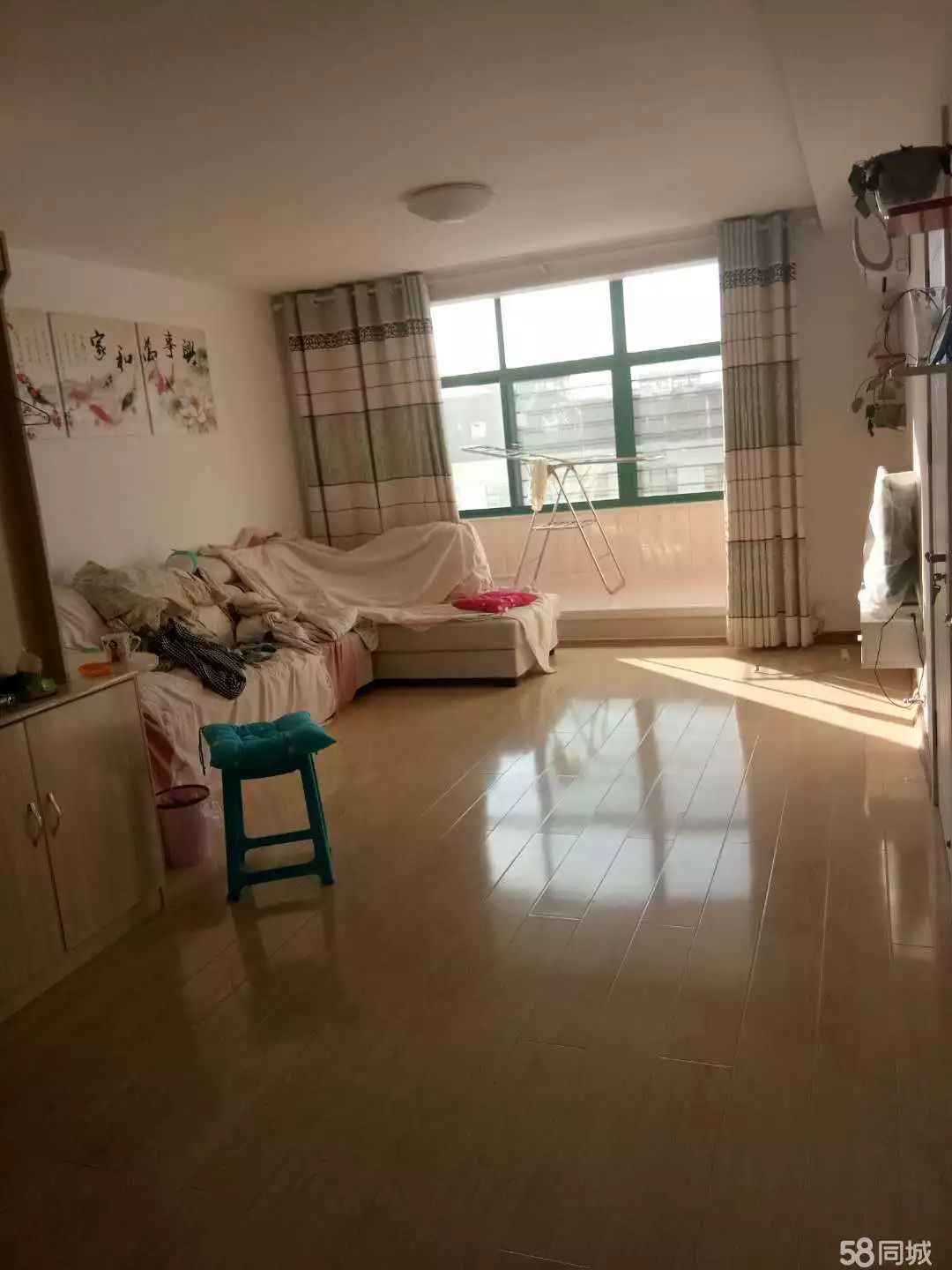 萊西最新個(gè)人租房，窗外世界與自我成長(zhǎng)的旅程