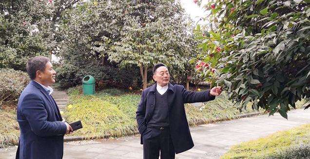 最新花木求購(gòu)，開(kāi)啟一場(chǎng)尋綠之旅的溫馨旅程