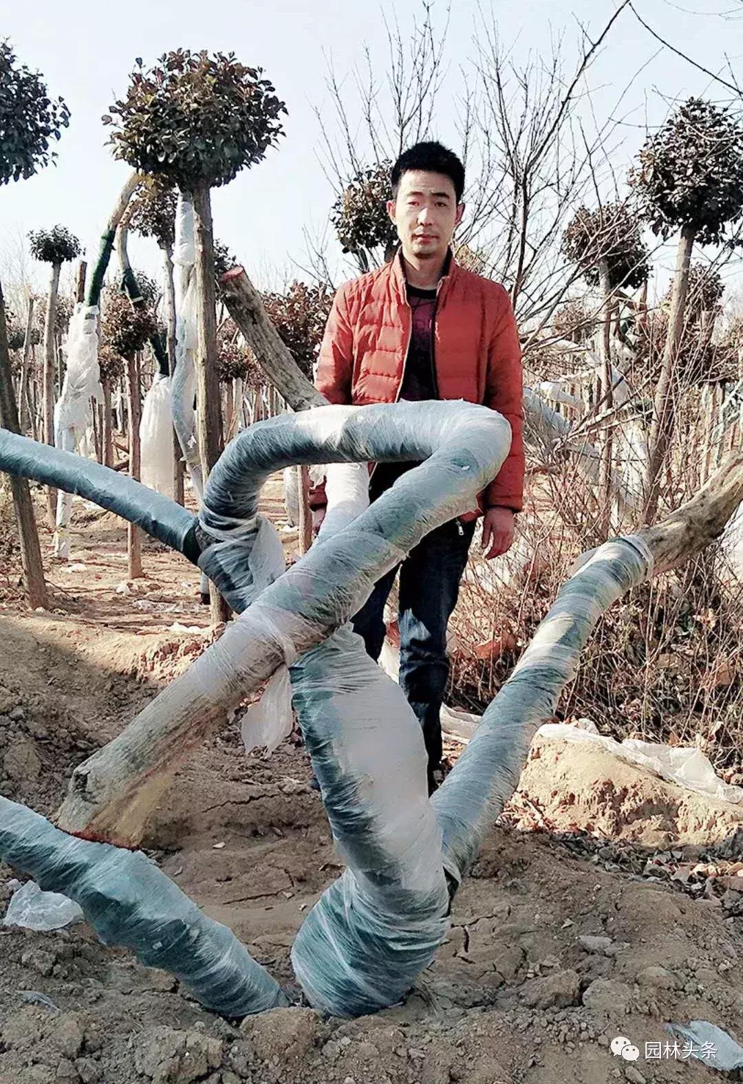 定州最新急招工，時(shí)代的呼喚與行業(yè)重塑的挑戰(zhàn)