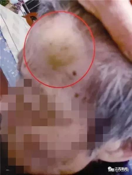 揪脖子最新視頻，探秘小巷風(fēng)情小店，獨(dú)家揭秘！