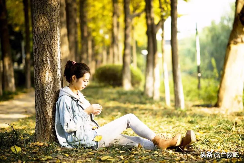 郯城與邳州沖突的深度解析與案例分析，最新進展與案例分析