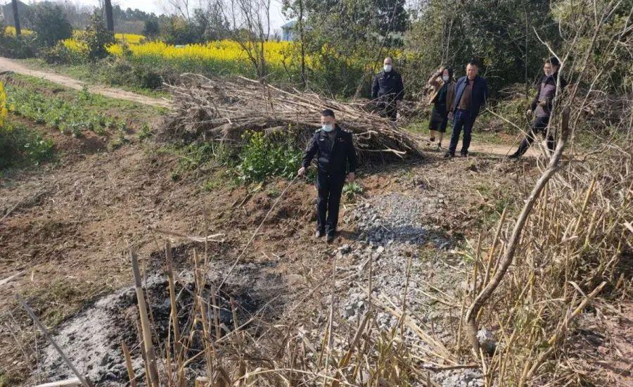 溧陽最新天氣，氣象變遷與地域影響探究