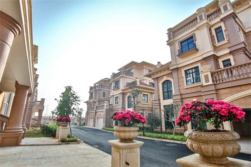 新泰最新樓盤，城市發(fā)展與居住品質(zhì)的新篇章