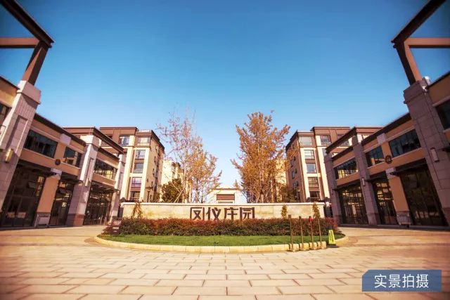 鳳儀莊園最新動態(tài)，家的溫馨與友情的綻放時刻