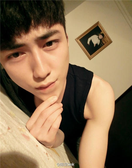 陳淀最新圖片，自然美景的探索之旅，尋覓內(nèi)心平和與喜悅的源泉