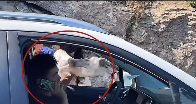 奔馳最新廣告，小明的溫情之旅啟程了