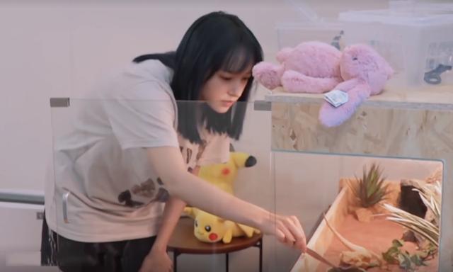 程瀟最新綜藝節(jié)目，心動(dòng)瞬間，不容錯(cuò)過(guò)！?