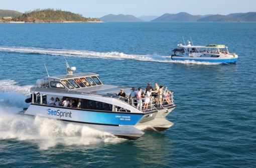 時(shí)代背景下的璀璨星辰，最新號(hào)號(hào)天堂綜述