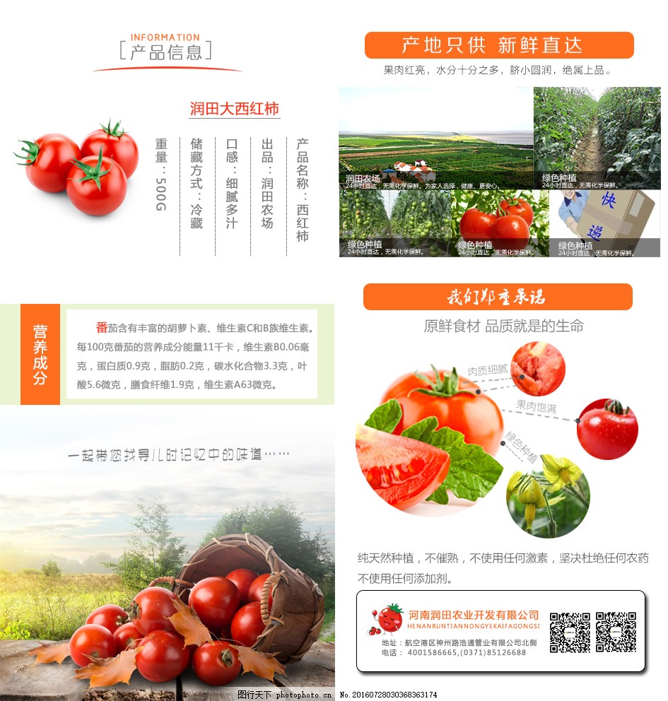 安徽西紅柿產地探秘，自然美景與鮮美西紅柿的邂逅之旅