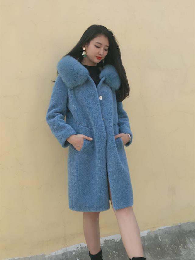 三七花最新價(jià)格揭秘，溫馨小故事中的尋找之旅