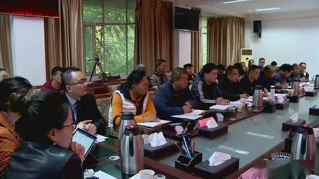 德昌最新新聞，擁抱自然，心靈寧靜之旅啟程