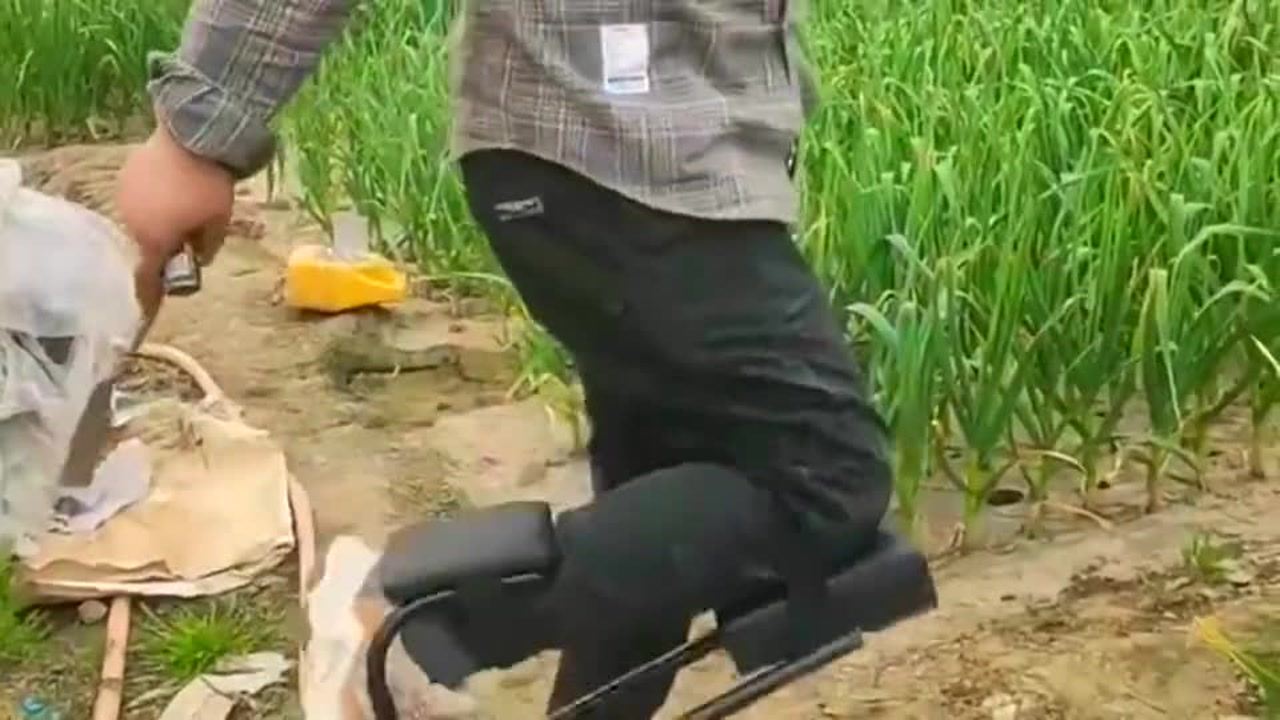 最新挖蒜工具，心靈與自然的完美交融