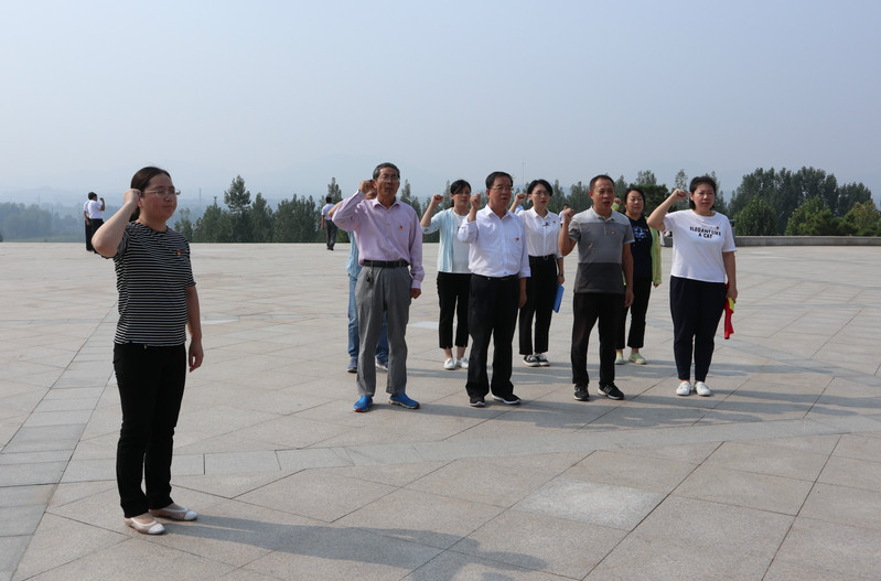 肥城房產(chǎn)最新動(dòng)態(tài)，市場(chǎng)走勢(shì)、熱門(mén)區(qū)域與案例分析