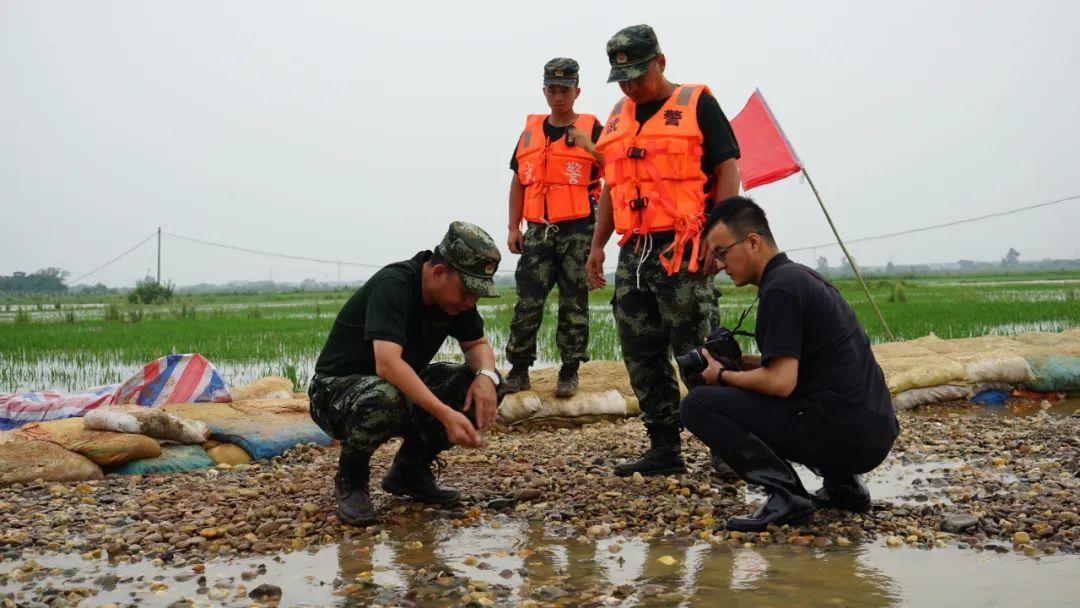 永修最新聞，背景探尋與時代地位的重要事件回顧
