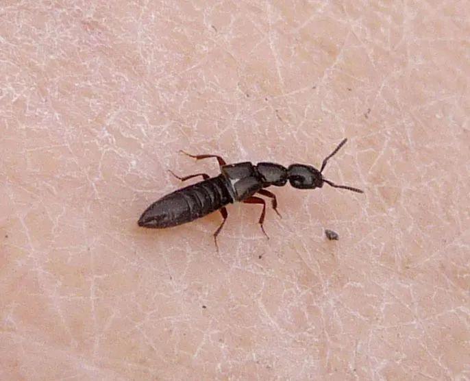 高效應對問題關鍵策略，最新處理方法詳解