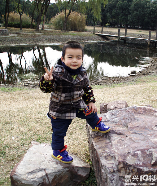 小六最新，時代背景下的重要印記與事件回顧