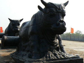 鐵牛視頻最新精彩呈現(xiàn)，領略與眾不同的世界！