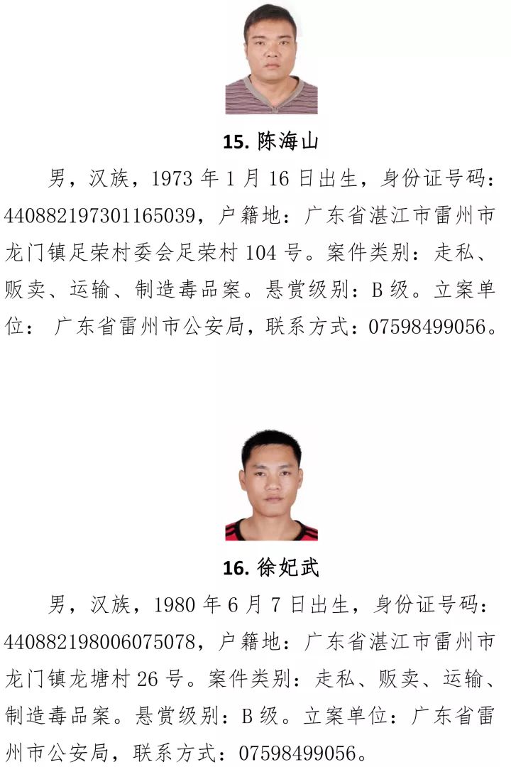 最新湛江人，掌握新技能與任務(wù)完成步驟指南