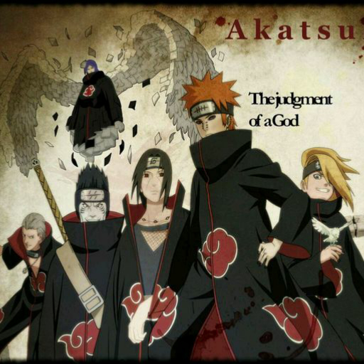 曉組織最新動態(tài)揭秘，探究其發(fā)展與影響