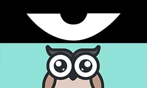 最新積目，全面解讀與觀點闡述