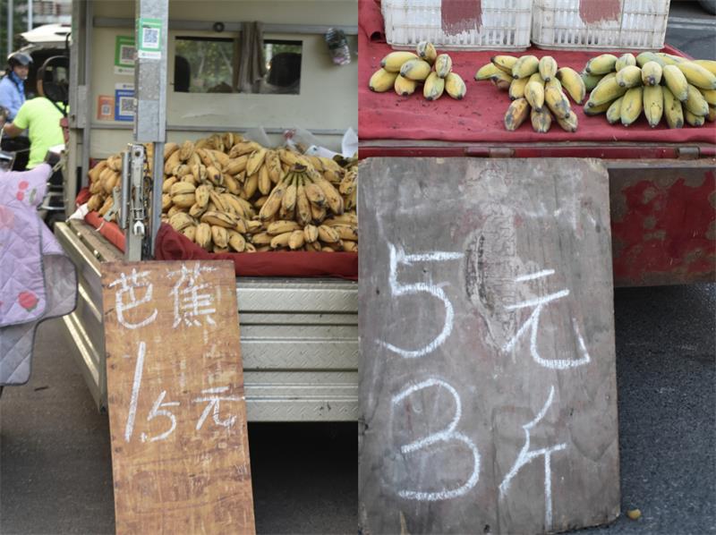 芭蕉最新價(jià)格，開啟心靈平靜的綠色之旅